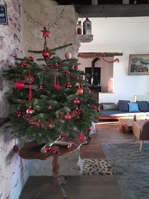 La Brunette 
House 14per,
garden, jacuzzi