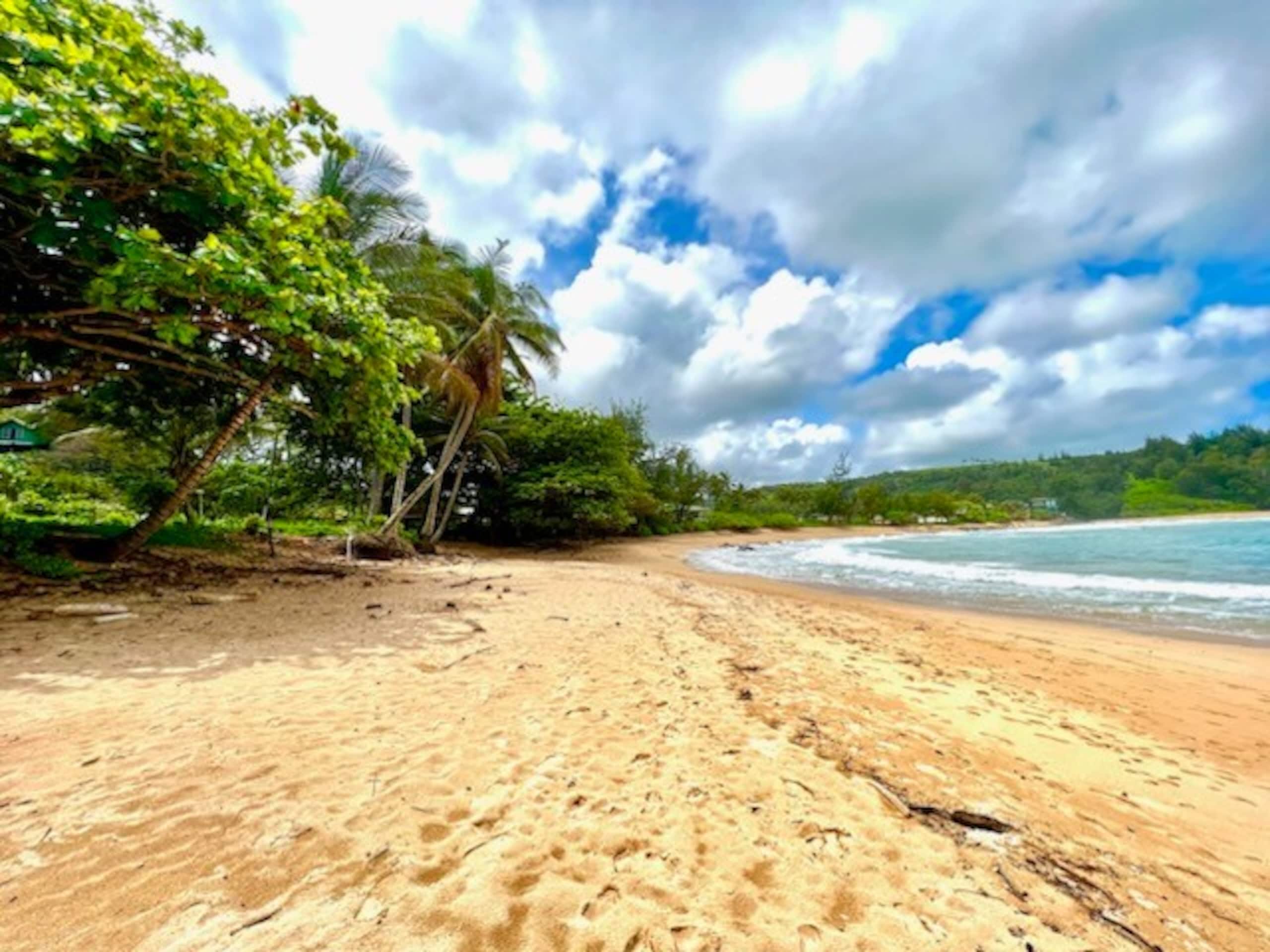 This Is It Awesome Dreamy Beach Stunning Views - Photo 55