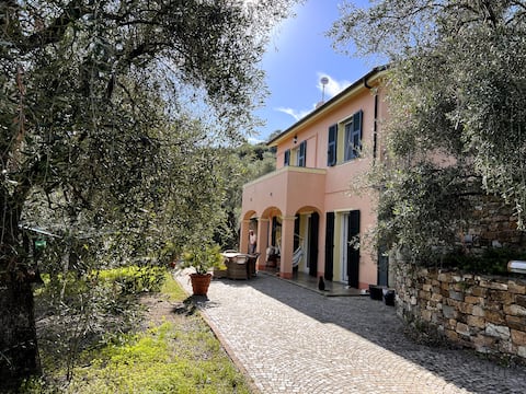 beautiful country house in the olive grovegetation