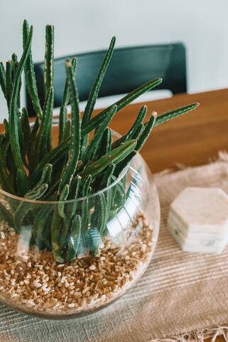 Arbutus Flat | A Cozy, Aesthetically-Driven Stay gallery image 5