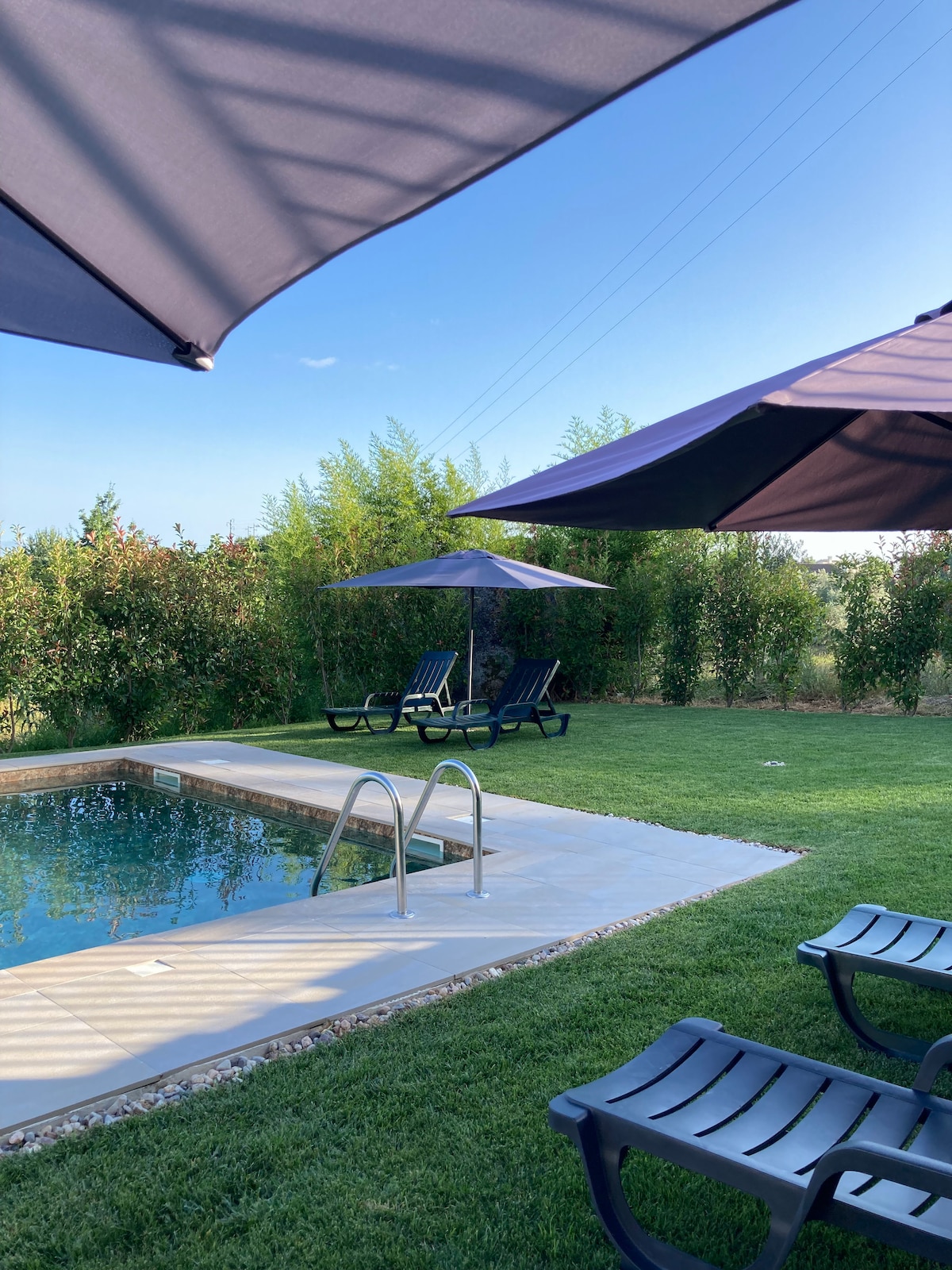 An outdoor area features a clear swimming pool bordered by a smooth deck. Lounge chairs are arranged nearby, offering shaded areas beneath large umbrellas. Lush greenery surrounds the space, creating a serene environment for relaxation.