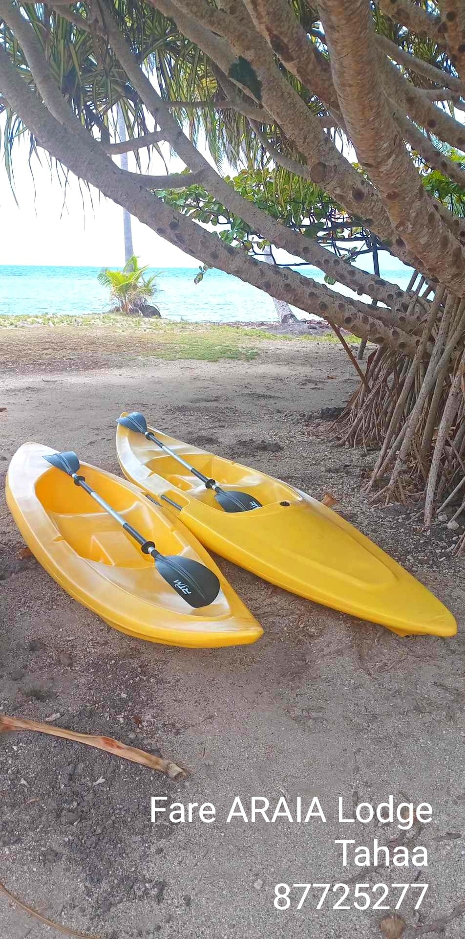 Two yellow kayaks are positioned on the sandy shore, nestled under a cluster of palm trees. The tranquil ocean can be seen in the background, with gentle waves lapping against the beach.