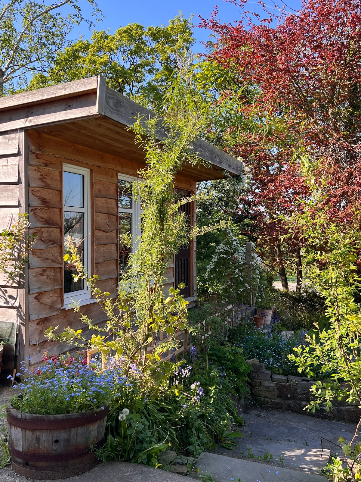 The cabin exterior is framed by vibrant greenery and blooming flowers. Natural wood siding and large windows contribute to a warm, welcoming appearance. A stone pathway leads towards the entrance, bordered by blossoming plants and a decorative planter, inviting guests to explore the surroundings.