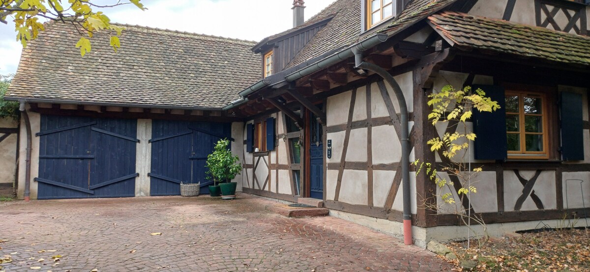 The exterior of the traditional Alsatian house is showcased, featuring distinctive timber framing and a slate-roofed design. A spacious courtyard is visible, complemented by double blue wooden doors and decorative plants. Windows with dark shutters add character to the inviting entrance.
