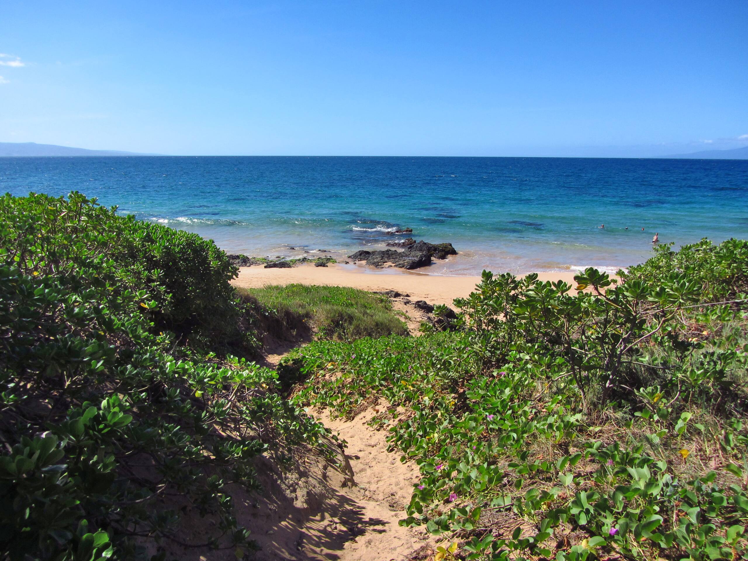 Condo in Kihei · ★4.5 · 2 bedrooms · 4 beds · 2 baths - Image 61