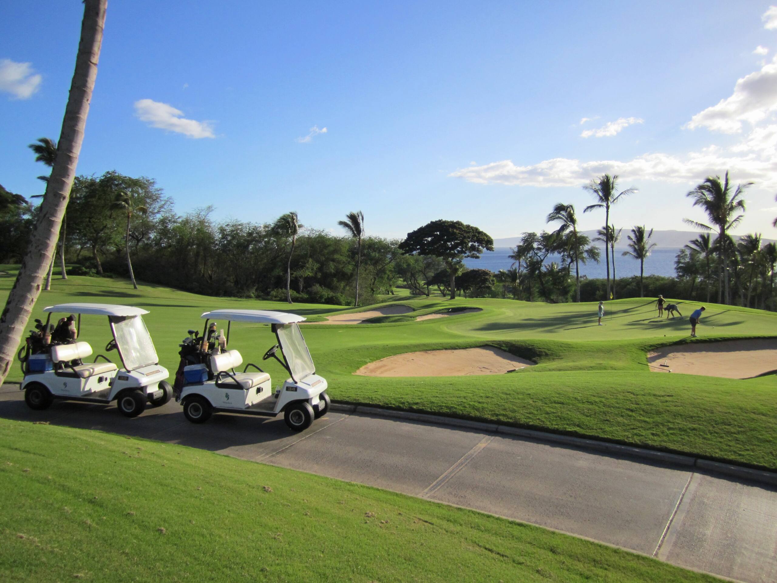 Condo in Kihei · ★4.5 · 2 bedrooms · 4 beds · 2 baths - Image 63