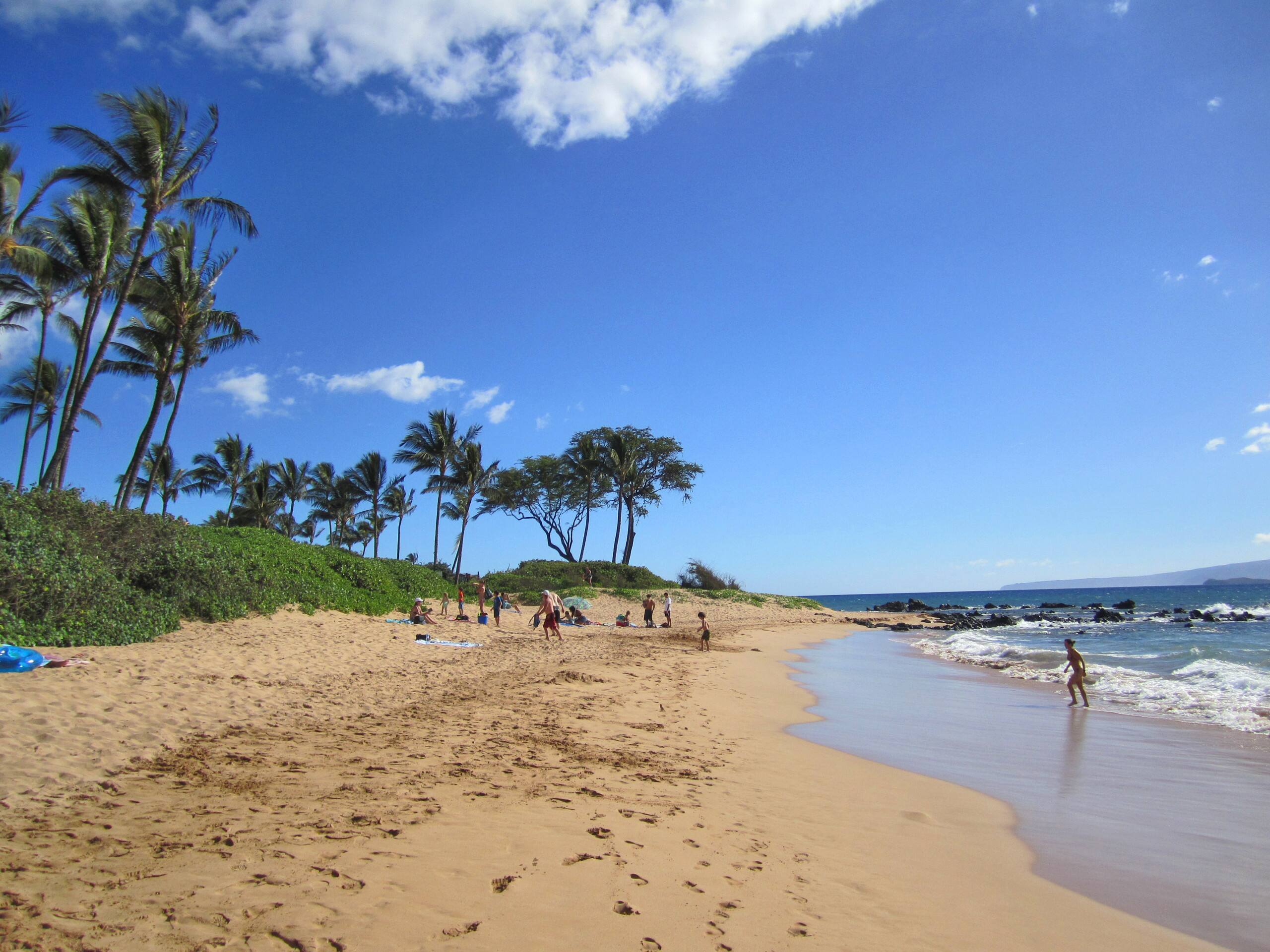 Condo in Kihei · ★4.5 · 2 bedrooms · 4 beds · 2 baths - Image 60