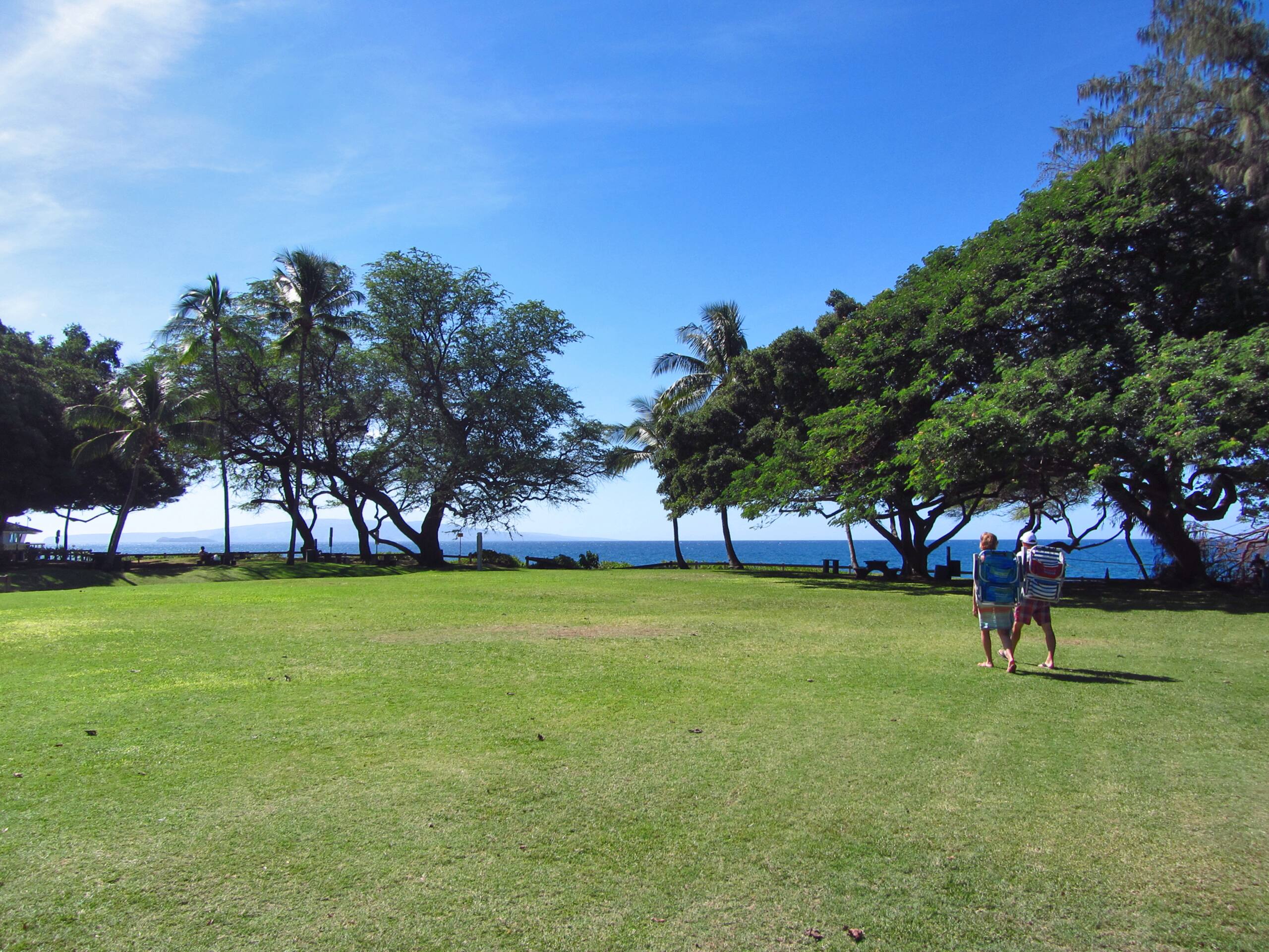 Condo in Kihei · ★4.5 · 2 bedrooms · 4 beds · 2 baths - Image 59
