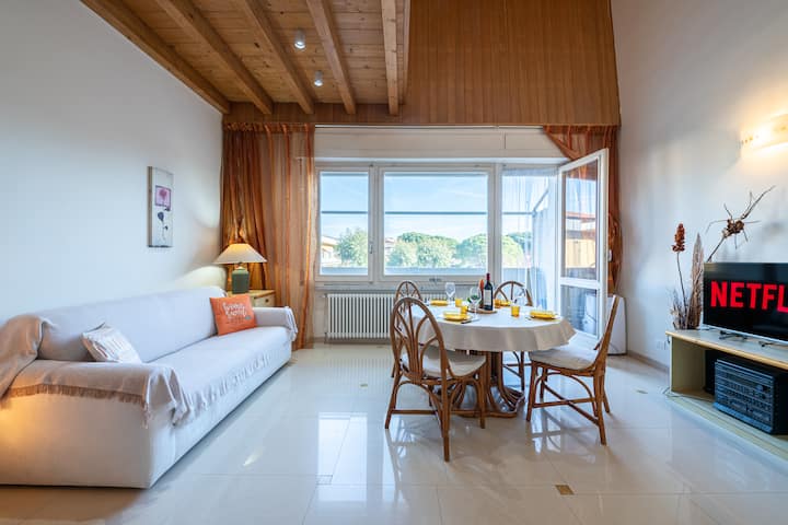 Versilia-M. di Carrara, 250 meters from the beach