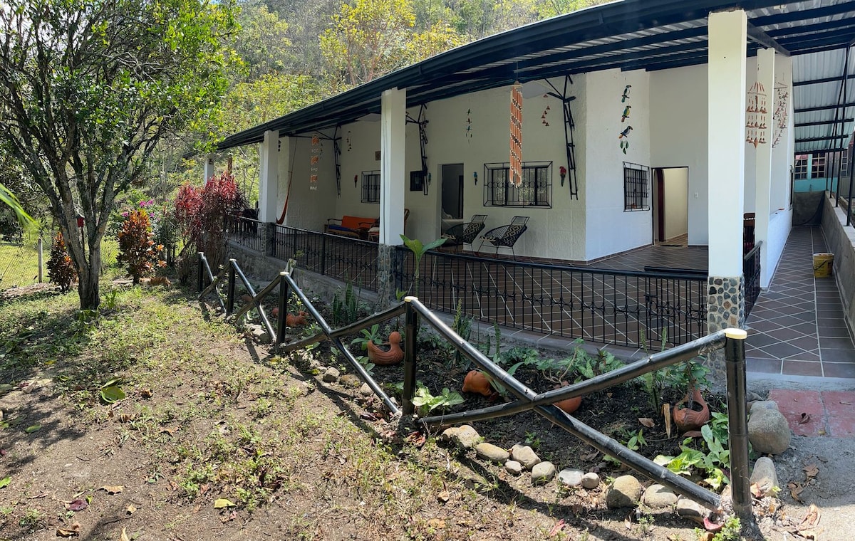 A spacious outdoor area is shown, featuring a covered porch with seating and tables. Lush greenery surrounds the space, while decorative elements add character. The landscape includes a variety of plants and a stone pathway, creating a serene environment influenced by nature.