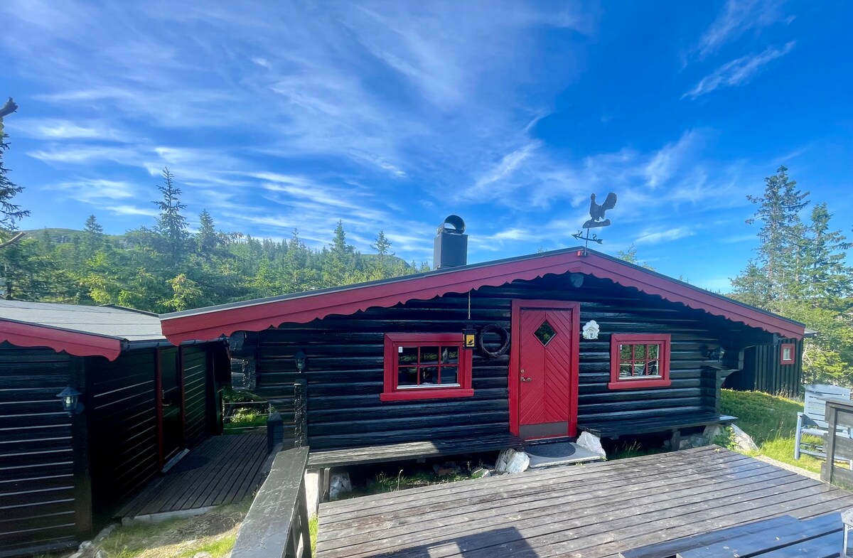 The exterior of a black cabin with red trim is visible, complemented by a matching red door and decorative weather vane. A spacious wooden deck is seen in front, surrounded by greenery, under a clear blue sky.