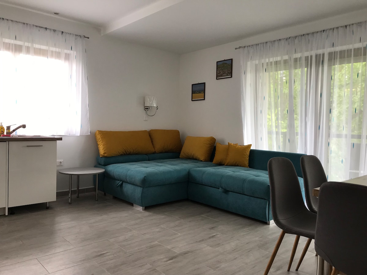 მისაღები ოთახი 2