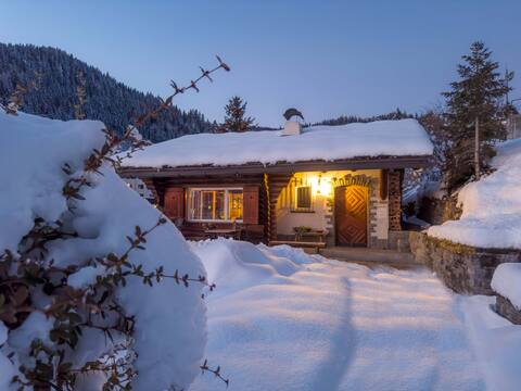 Charming chalet with lake view