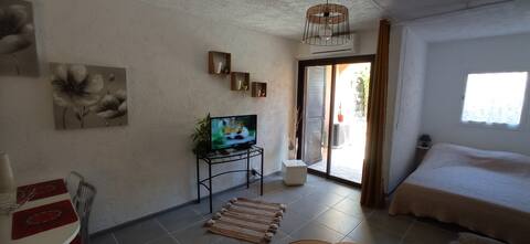 Popular Airbnb listing: St Cyprien Southern Corsica apartment in Lecci