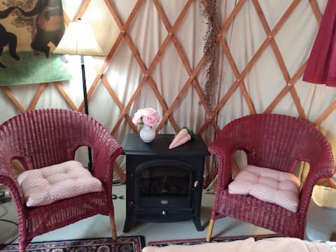 Popular Airbnb listing: Mountain Laurel Yurt in Dahlonega, Georgia in Dahlonega