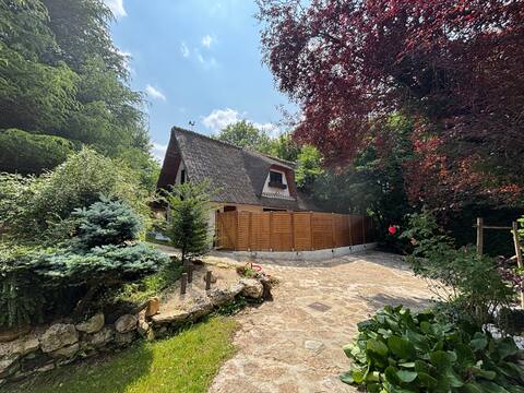 Disney cottage