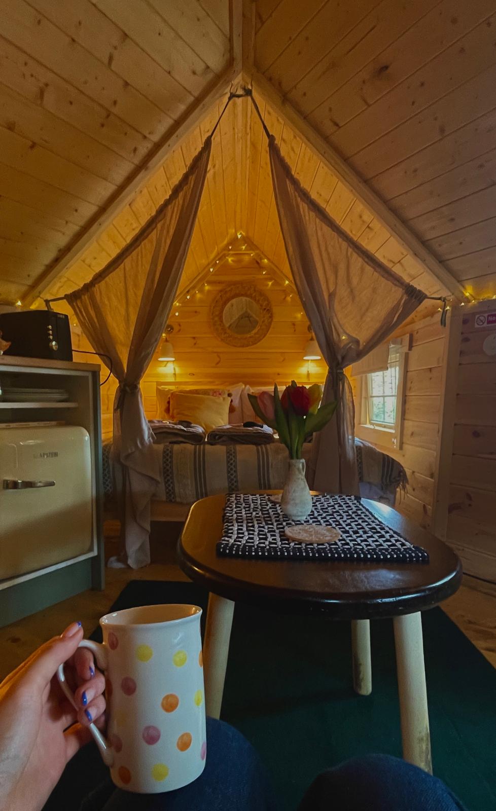 Top Airbnb: Wild Thyme Log Cabin with Private Hot Tub in Stamford