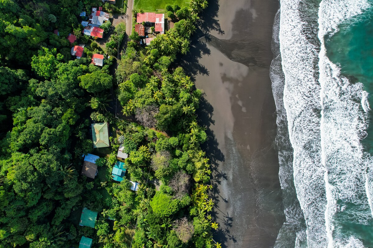 An aerial view showcases the contrast of lush greenery and the dark sand beach along the coastline. A line of trees hugs the shore, with colorful rooftops of nearby homes nestled among palms, providing a glimpse of the tranquil environment surrounding the private home.