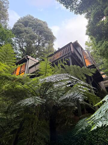 Sassafras Treehouse gallery image 5