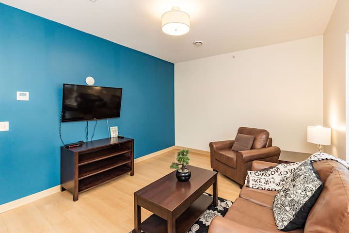3 Bedroom Loft -Close To Su/upstate/esf. (C) - Syracuse, NY