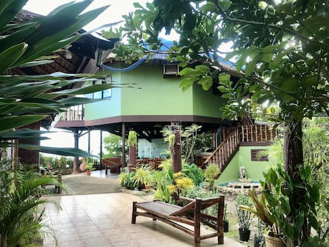 The treehouse lookout