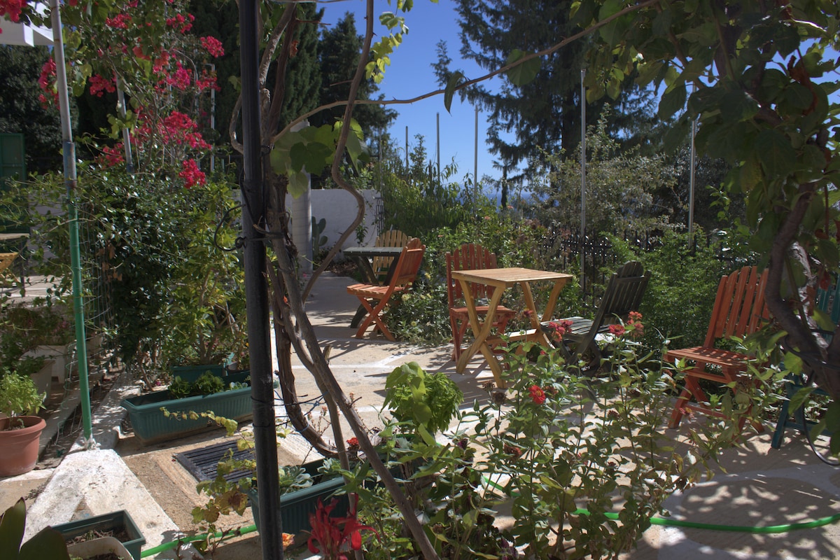 A serene outdoor space is surrounded by lush greenery and blooming flowers. A wooden table is positioned between two colorful chairs, providing a cozy spot for relaxation. Pathways are lined with potted plants, creating an inviting atmosphere for families to enjoy.