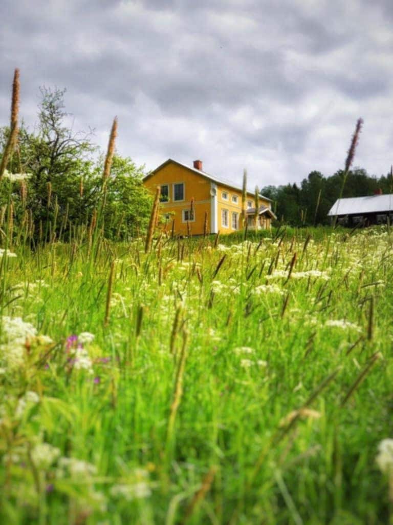 A yellow house is set against a backdrop of a cloudy sky, surrounded by tall grasses and wildflowers. The spacious yard includes a mix of green and white plants, creating a natural and serene environment. A barn-like structure is visible to the right.