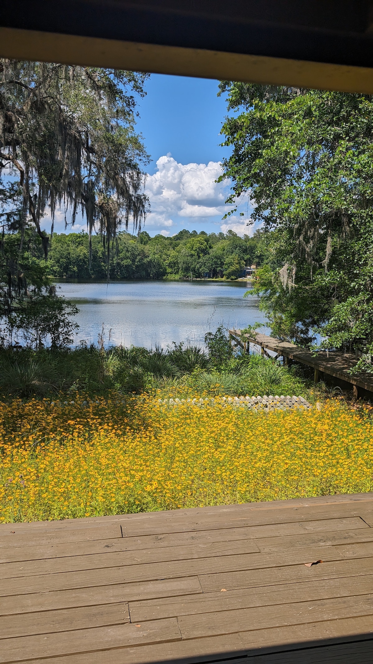 A view of a small pond framed by a vibrant field of yellow wildflowers. The scene is completed by lush green trees and a clear blue sky with fluffy white clouds. A wooden deck is visible, extending toward the water.