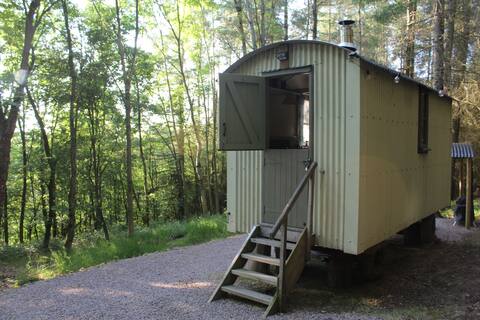 Top performing Airbnb: Tranquil Woodland Shepherd's Hut near Ross-on-Wye in County Of Herefordshire