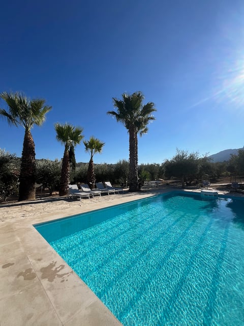 The Olive Grove Villas with private swimming pool