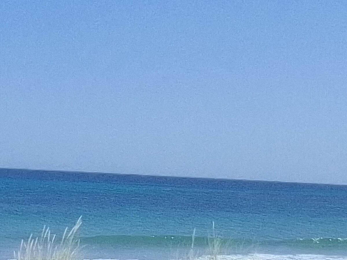 A serene seascape is presented, featuring gently rolling waves meeting a smooth, sandy beach. The horizon showcases a gradient of blue, transitioning from light azure at the shore to deep navy further out. Sparse coastal vegetation is visible in the foreground.