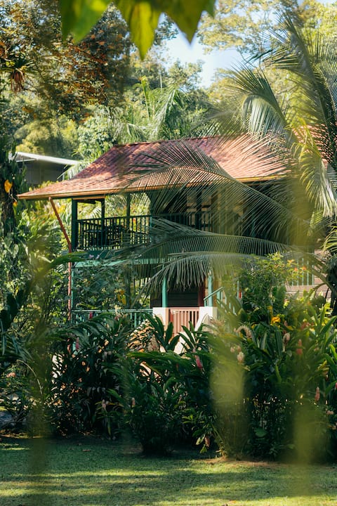 Casa de Mono Jungle Villa Apartment by the Beach