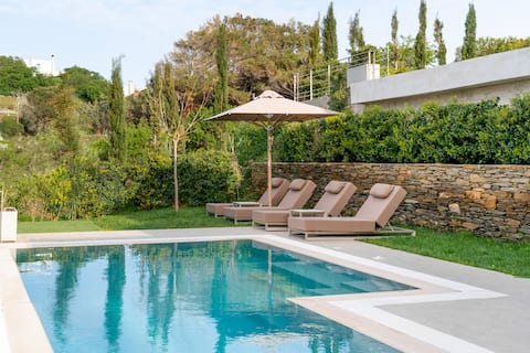 Villa Livadia | Infinity Pool | Sea Views | Andros