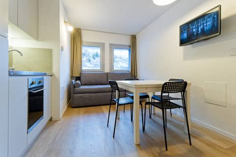 Three-room apartment 300 meters from the ski lifts