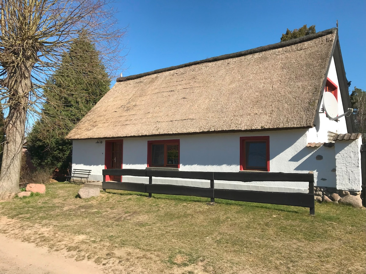 A thatched-roof cottage is presented, featuring white walls with red window frames. The structure is set amidst a grassy area, with a simple black fence lining the front. Tall trees provide shade, contributing to the natural ambiance of the surroundings.