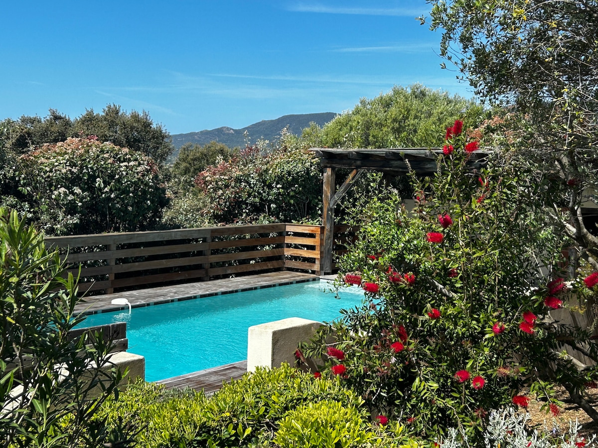 A serene swimming pool is framed by lush greenery and vibrant flowers. The surrounding wooden deck features shaded areas for relaxation. The clear blue sky provides a bright backdrop, while the distant hills add depth to the peaceful outdoor setting.