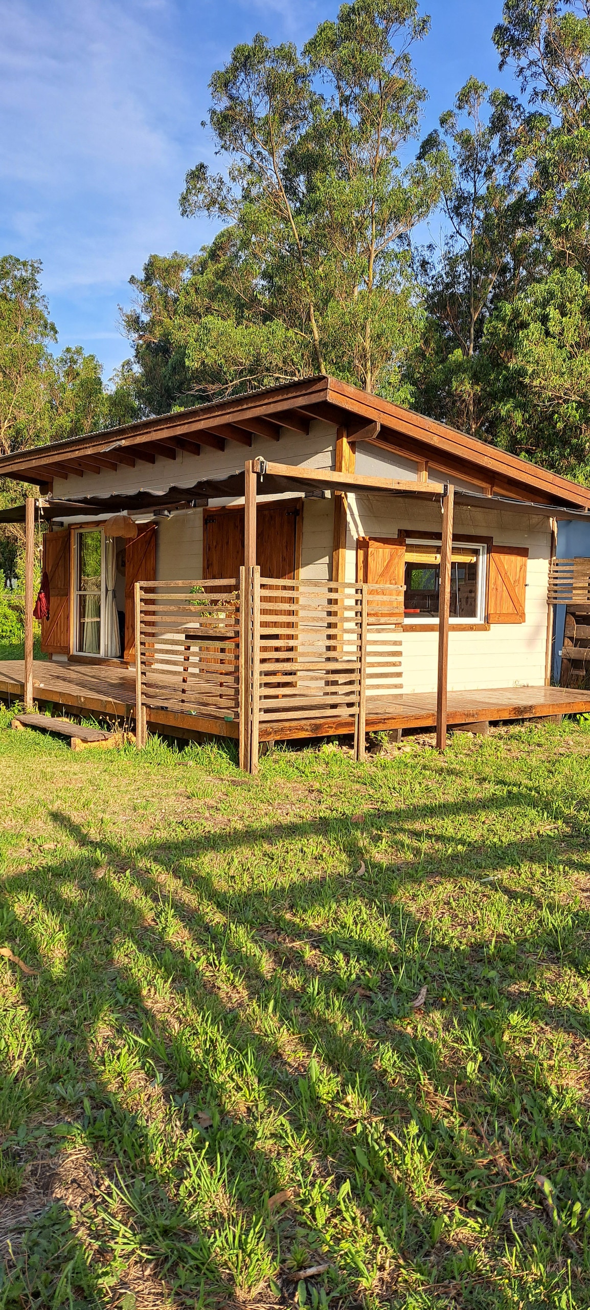 A charming cabin is set amidst lush greenery, featuring a wooden deck with railings along the front. The structure has large windows with wooden shutters and a sloped roof, providing a rustic feel in a natural setting.