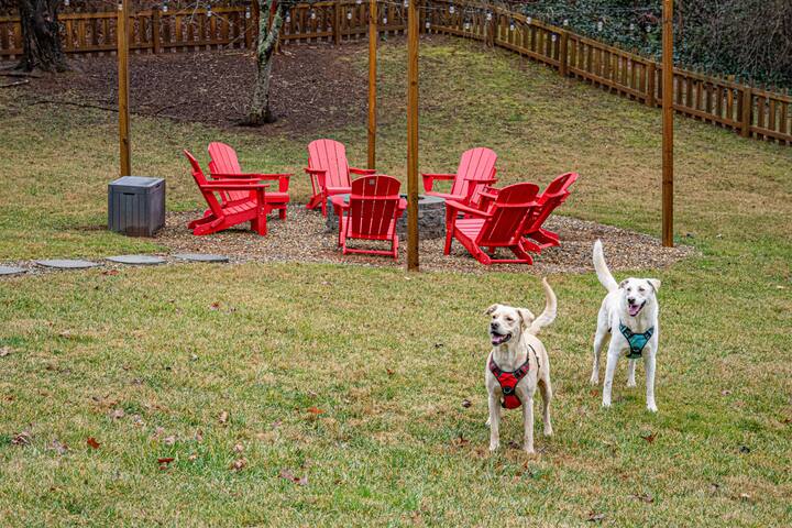 Pup-Friendly Asheville Oasis:Game|Sauna|Hot Tub gallery image 2