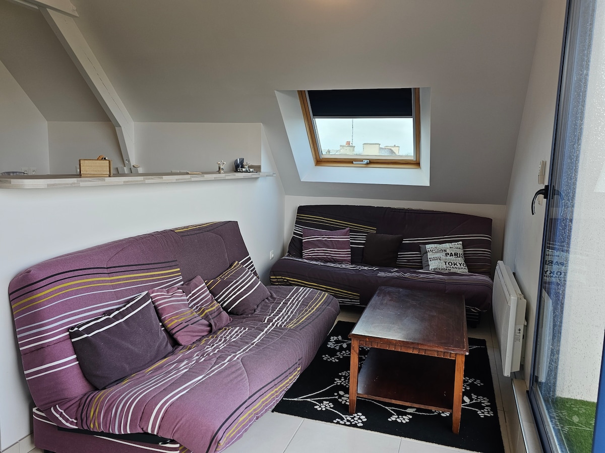 Top performing Airbnb: Cottage for 14 people, view of the port of Camaret in Camaret Sur Mer