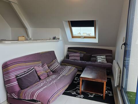 Top performing Airbnb: Cottage for 14 people, view of the port of Camaret in Camaret Sur Mer
