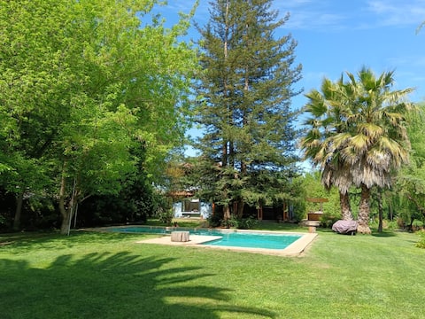 Casa de Invitados - Plot the Forest