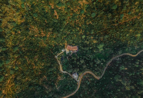 Bhadra - The Estate Villa