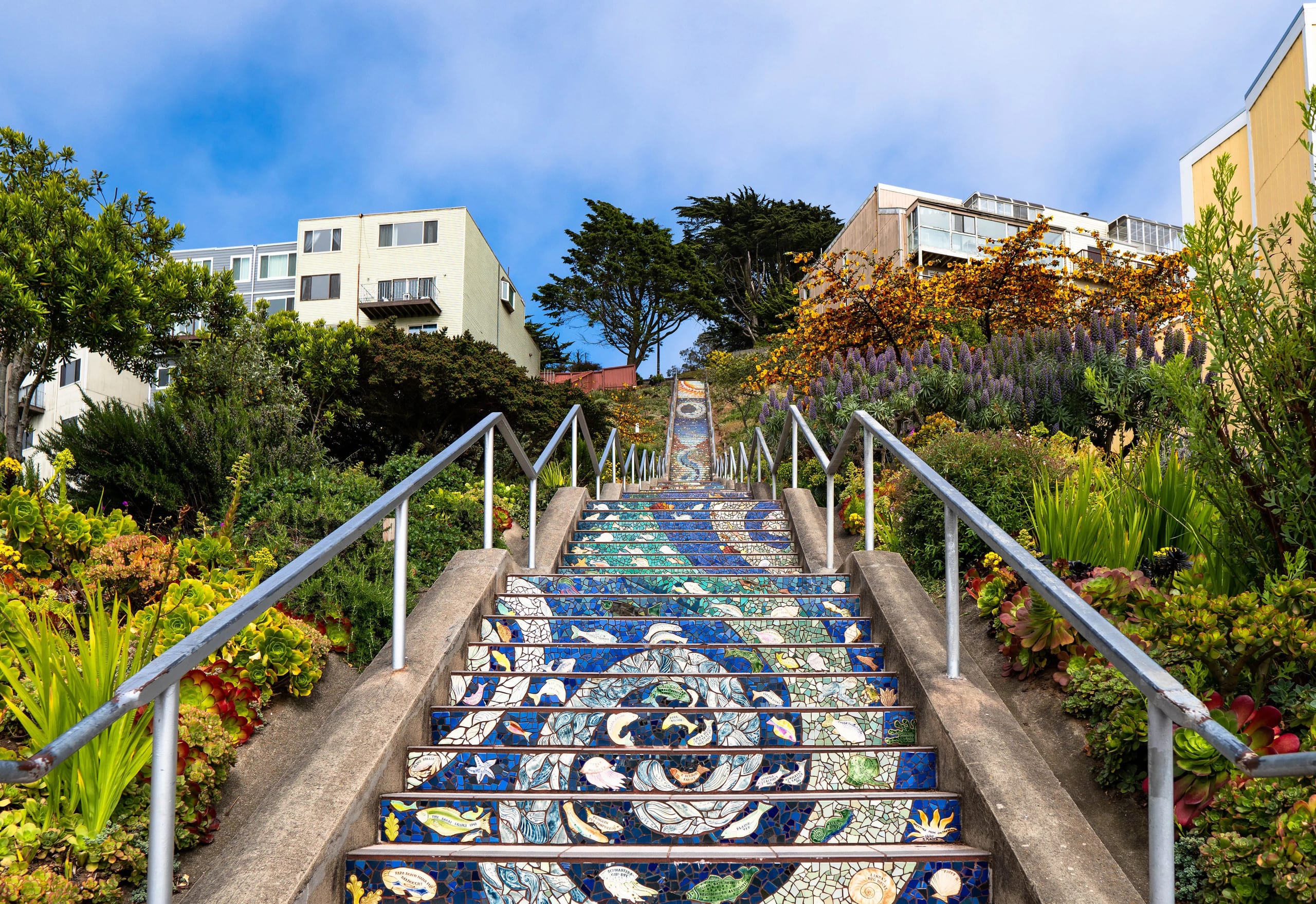 Modern Chic Studio Near UCSF/SFSU/Golden Gate Park - Image 22