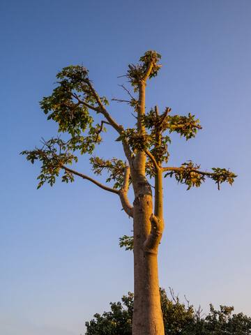 Le casette di Sangennaro! gallery image 4