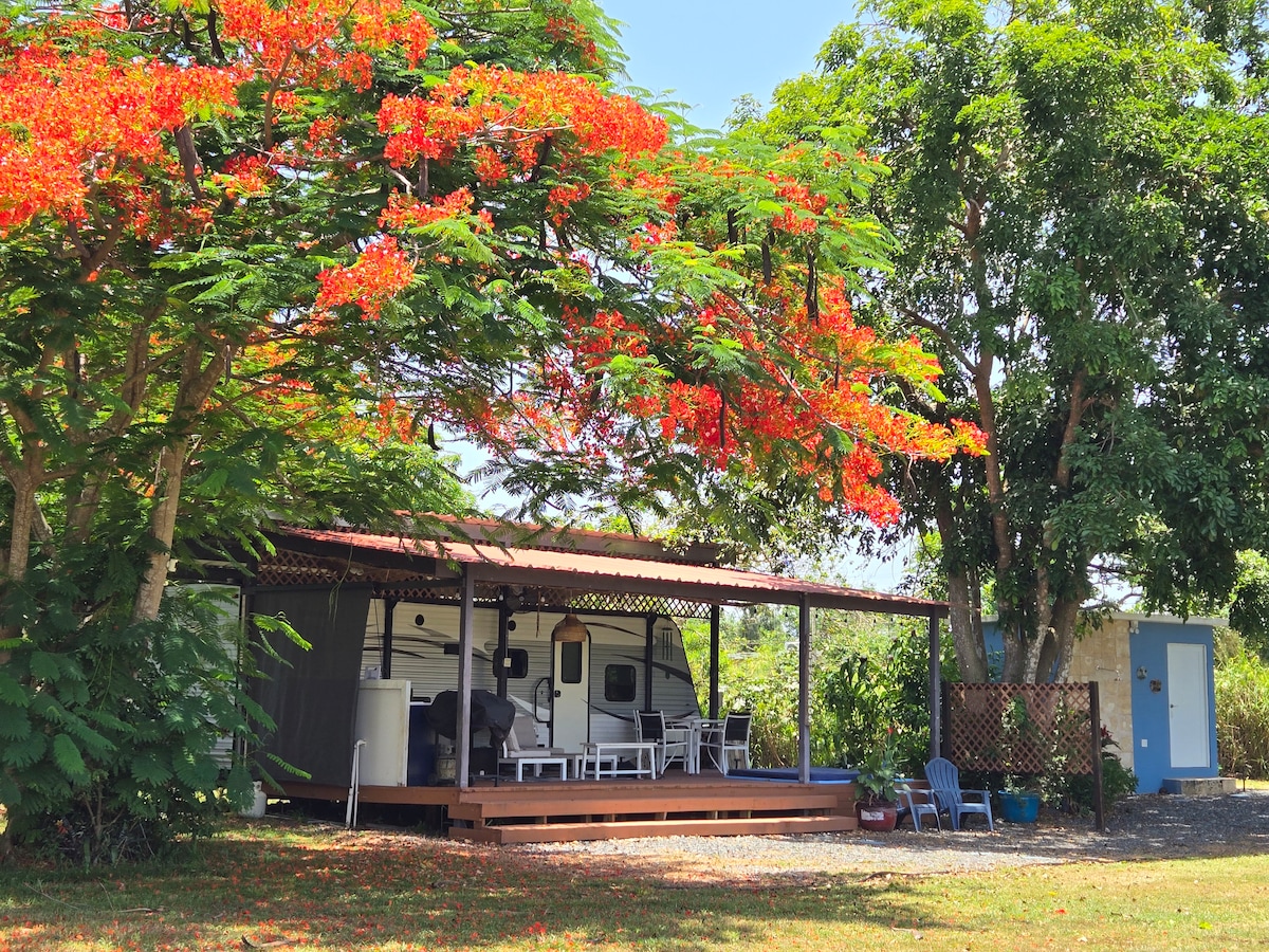 A camper is nestled beneath vibrant flowering trees, with a covered patio featuring wooden decking. Outdoor seating is arranged invitingly, and a small structure can be seen nearby. Green grass and natural surroundings add to the serene atmosphere of the space.