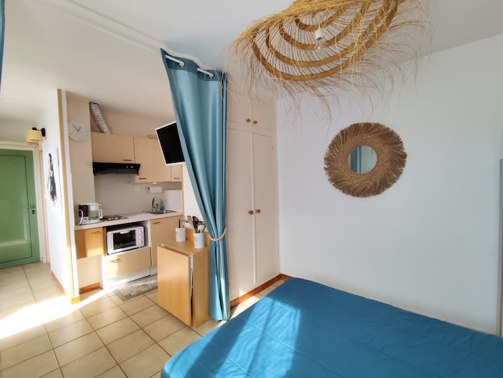 Appartement Face Mer Terrasse Couverte Parking - Le Barcarès