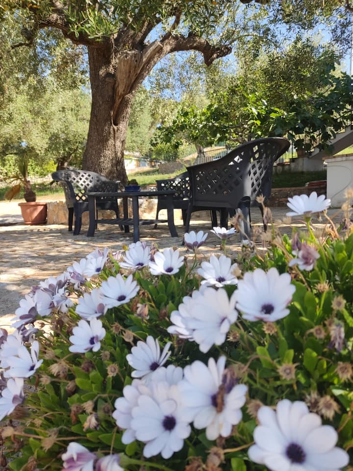 Ad Agros Logement: Soluzione Zagara - Camerota