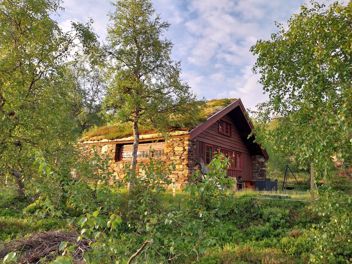 A rustic cabin is surrounded by lush greenery, featuring a unique grass-covered roof. The structure is crafted from stone and wood, displaying large windows. Near the cabin, a swing set is visible, providing a playful outdoor space amidst the tranquil natural setting.