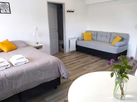 Successful Airbnb property: SOApart El Chalten 1 in Santa Cruz