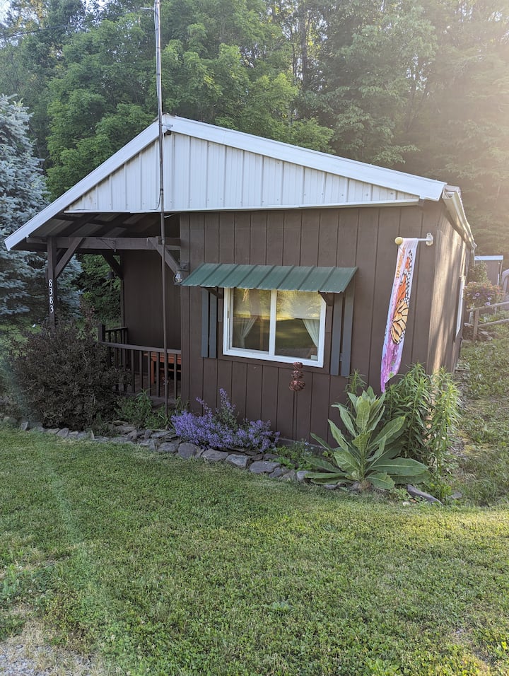 Cozy Cabin with an RV Hookup Cabins for Rent in Bath, New York